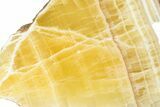 Polished Honeycomb Calcite Slab - Utah #264566-1